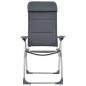 vidaXL Sillas de camping de aluminio 2 unidades gris 58x69x111 cm vidaXL Sillas de camping de aluminio 2 unidades gris 58x69x111 cm