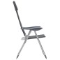 vidaXL Sillas de camping de aluminio 2 unidades gris 58x69x111 cm vidaXL Sillas de camping de aluminio 2 unidades gris 58x69x111 cm