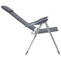 vidaXL Sillas de camping de aluminio 2 unidades gris 58x69x111 cm vidaXL Sillas de camping de aluminio 2 unidades gris 58x69x111 cm