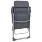 vidaXL Sillas de camping de aluminio 2 unidades gris 58x69x111 cm vidaXL Sillas de camping de aluminio 2 unidades gris 58x69x111 cm