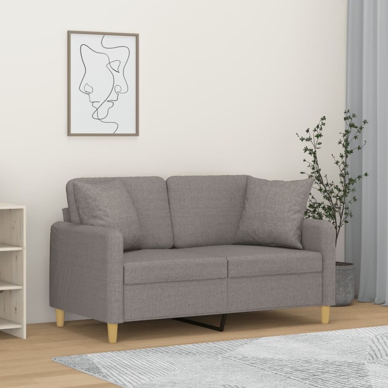 vidaXL Sofá de 2 plazas con cojines tela gris claro 120 cm vidaXL Sofá de 2 plazas con cojines tela gris claro 120 cm