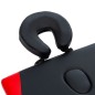 vidaXL Camilla de masaje plegable 2 zonas aluminio negro y rojo vidaXL Camilla de masaje plegable 2 zonas aluminio negro y rojo