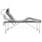 vidaXL Camilla masaje 4 zonas estructura aluminio antracita 186x68 cm vidaXL Camilla masaje 4 zonas estructura aluminio antracita 186x68 cm