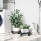 vidaXL Soporte para plantas con ruedas 2 uds gris diámetro 34 cm 35 kg vidaXL Soporte para plantas con ruedas 2 uds gris diámetro 34 cm 35 kg
