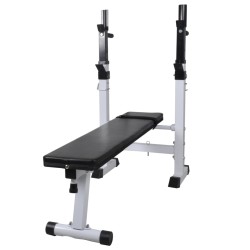 vidaXL Banco ejercicios con soporte pesas, pesas y mancuernas 60,5 kg