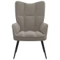 vidaXL Silla de relajación de terciopelo gris claro vidaXL Silla de relajación de terciopelo gris claro