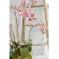 Emerald Orquídea artificial con musgo rosa 75 cm 417662 Emerald Orquídea artificial con musgo rosa 75 cm 417662