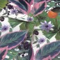 DUTCH WALLCOVERINGS Papel pintado Passion Flower blanco y verde DUTCH WALLCOVERINGS Papel pintado Passion Flower blanco y verde