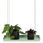 Esschert Design Bandeja colgante para plantas rectangular verde S Esschert Design Bandeja colgante para plantas rectangular verde S