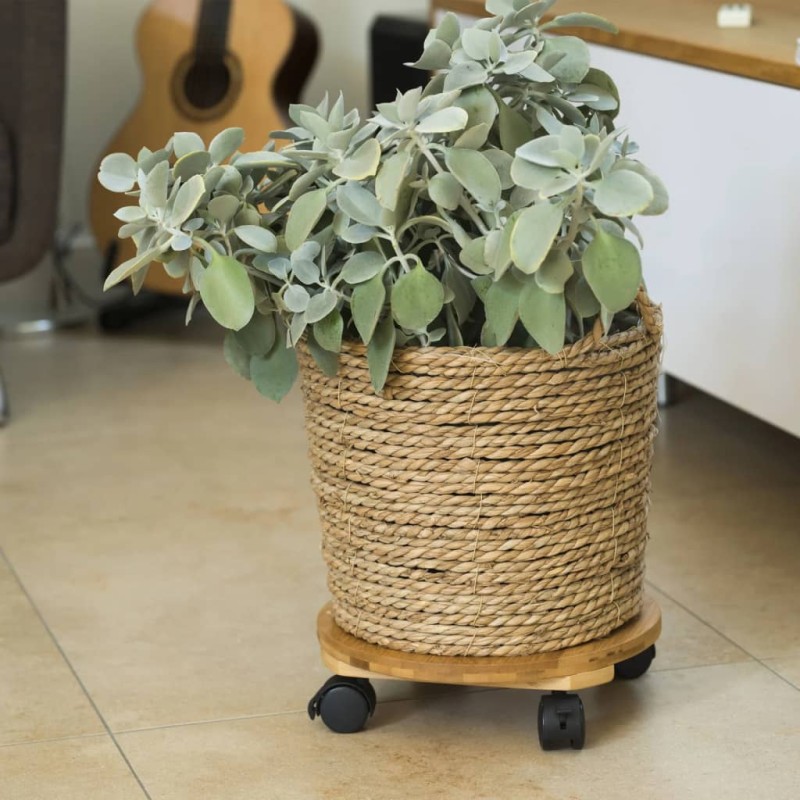 Nature Soporte con ruedas para plantas redondo BPC marrón Ø30 cm Nature Soporte con ruedas para plantas redondo BPC marrón Ø30 cm