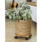 Nature Soporte con ruedas para plantas redondo BPC marrón Ø30 cm Nature Soporte con ruedas para plantas redondo BPC marrón Ø30 cm