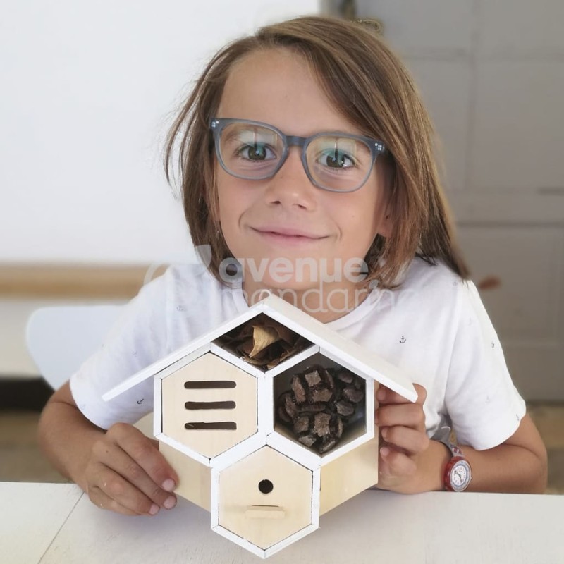Avenue Mandarine Caja de creatividad Bug House to Build Avenue Mandarine Caja de creatividad Bug House to Build