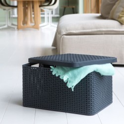 Curver Caja de almacenamiento con tapa Style L plata metalizada 30 l