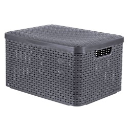 Curver Caja de almacenamiento con tapa Style L plata metalizada 30 l
