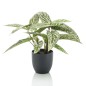 Emerald Calathea artificial Dots en maceta 38 cm Emerald Calathea artificial Dots en maceta 38 cm