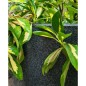 Capi Macetero Waste Smooth gris 35x34 cm Capi Macetero Waste Smooth gris 35x34 cm