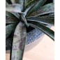 Capi Macetero Waste Smooth gris 35x34 cm Capi Macetero Waste Smooth gris 35x34 cm