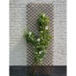 Nature Enrejado de jardín sauce natural marrón 60x180 cm Nature Enrejado de jardín sauce natural marrón 60x180 cm