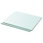 vidaXL Estantes 2 unidades panel de vidrio transparente 30x20 cm vidaXL Estantes 2 unidades panel de vidrio transparente 30x20 cm