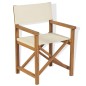 vidaXL Sillas de director plegable 2 uds madera maciza de teca