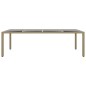 vidaXL Juego de comedor de jardín de 11 piezas ratán sintético beige