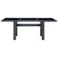vidaXL Set comedor jardín 9 pzas cojines ratán sintético gris oscuro vidaXL Set comedor jardín 9 pzas cojines ratán sintético gris oscuro