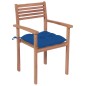 vidaXL Sillas de jardín 2 uds madera maciza de teca con cojines azules vidaXL Sillas de jardín 2 uds madera maciza de teca con cojines azules