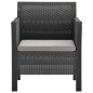 vidaXL Set de muebles de jardín 2 pzas cojines PP ratán gris antracita vidaXL Set de muebles de jardín 2 pzas cojines PP ratán gris antracita