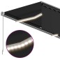 vidaXL Toldo manual retráctil con persiana y LED antracita 3x2,5 m vidaXL Toldo manual retráctil con persiana y LED antracita 3x2,5 m