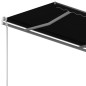 vidaXL Toldo de pie retráctil manual gris antracita 350x250 cm vidaXL Toldo de pie retráctil manual gris antracita 350x250 cm