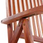 vidaXL Sillas plegables de jardín 2 uds madera maciza acacia marrón 