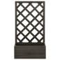 vidaXL Jardinera enrejada de jardín madera abeto gris 50x25x90 cm vidaXL Jardinera enrejada de jardín madera abeto gris 50x25x90 cm