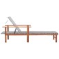 vidaXL Tumbona de ratán sintético y madera maciza de acacia gris vidaXL Tumbona de ratán sintético y madera maciza de acacia gris