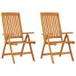 vidaXL Sillas de jardín plegables 2 uds madera maciza de eucalipto vidaXL Sillas de jardín plegables 2 uds madera maciza de eucalipto