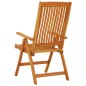 vidaXL Sillas de jardín plegables 2 uds madera maciza de eucalipto vidaXL Sillas de jardín plegables 2 uds madera maciza de eucalipto