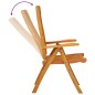 vidaXL Sillas de jardín plegables 2 uds madera maciza de eucalipto vidaXL Sillas de jardín plegables 2 uds madera maciza de eucalipto