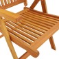 vidaXL Sillas de jardín plegables 2 uds madera maciza de eucalipto vidaXL Sillas de jardín plegables 2 uds madera maciza de eucalipto