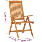 vidaXL Sillas de jardín plegables 2 uds madera maciza de eucalipto vidaXL Sillas de jardín plegables 2 uds madera maciza de eucalipto