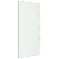 vidaXL Panel lateral para dosel de puerta vidrio templado 50x100 cm