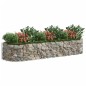 vidaXL Arriate de gaviones de hierro galvanizado 300x100x50 cm vidaXL Arriate de gaviones de hierro galvanizado 300x100x50 cm