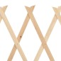 vidaXL Vallas enrejadas 5 uds madera de abeto 180x60 cm vidaXL Vallas enrejadas 5 uds madera de abeto 180x60 cm