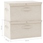 vidaXL Cajas de almacenaje 2 unidades tela color crema 50x30x25 cm vidaXL Cajas de almacenaje 2 unidades tela color crema 50x30x25 cm