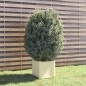 vidaXL Jardinera de madera maciza de pino blanco 40x40x40 cm vidaXL Jardinera de madera maciza de pino blanco 40x40x40 cm