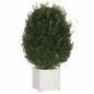 vidaXL Jardinera de madera maciza de pino blanco 40x40x40 cm vidaXL Jardinera de madera maciza de pino blanco 40x40x40 cm