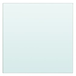 vidaXL Panel de estante vidrio claro 20x20 cm