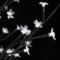 vidaXL Árbol LED con flor de cerezo 84 LED blanco cálido 120 cm vidaXL Árbol LED con flor de cerezo 84 LED blanco cálido 120 cm