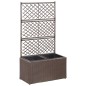 vidaXL Enrejado y arriate 2 macetas ratán sintético marrón 58x30x107cm vidaXL Enrejado y arriate 2 macetas ratán sintético marrón 58x30x107cm