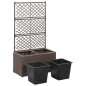 vidaXL Enrejado y arriate 2 macetas ratán sintético marrón 58x30x107cm vidaXL Enrejado y arriate 2 macetas ratán sintético marrón 58x30x107cm