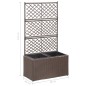vidaXL Enrejado y arriate 2 macetas ratán sintético marrón 58x30x107cm vidaXL Enrejado y arriate 2 macetas ratán sintético marrón 58x30x107cm