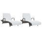 vidaXL Toallas de playa 2 uds tela blanco 400 g/m² 75x200 cm vidaXL Toallas de playa 2 uds tela blanco 400 g/m² 75x200 cm